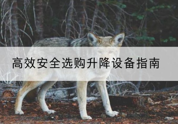 土默特右旗升降货梯厂家推荐-*安全选购升降设备指南