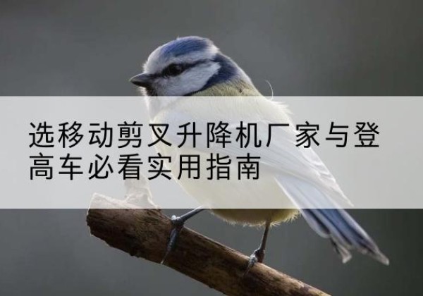 土默特右旗电动升降机厂家-选移动剪叉升降机厂家与登高车必看实用指南