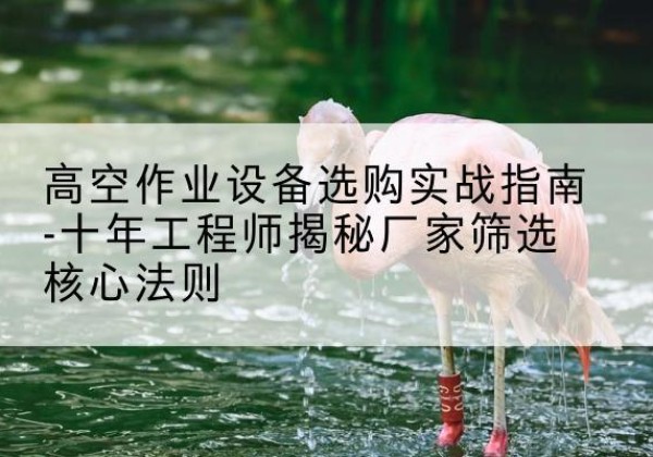 土默特右旗剪叉式升降机厂家-高空作业设备选购实战指南-十年工程师揭秘厂家筛选核心法则